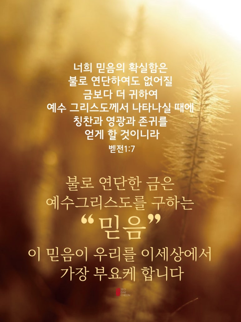 홀리씨즈교회 이미지