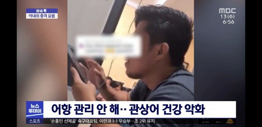 크루시아 이미지