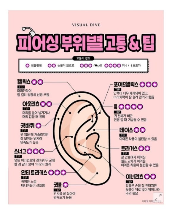 폭스피어싱 이미지