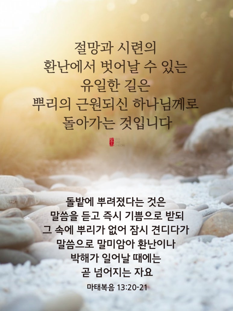 홀리씨즈교회 이미지