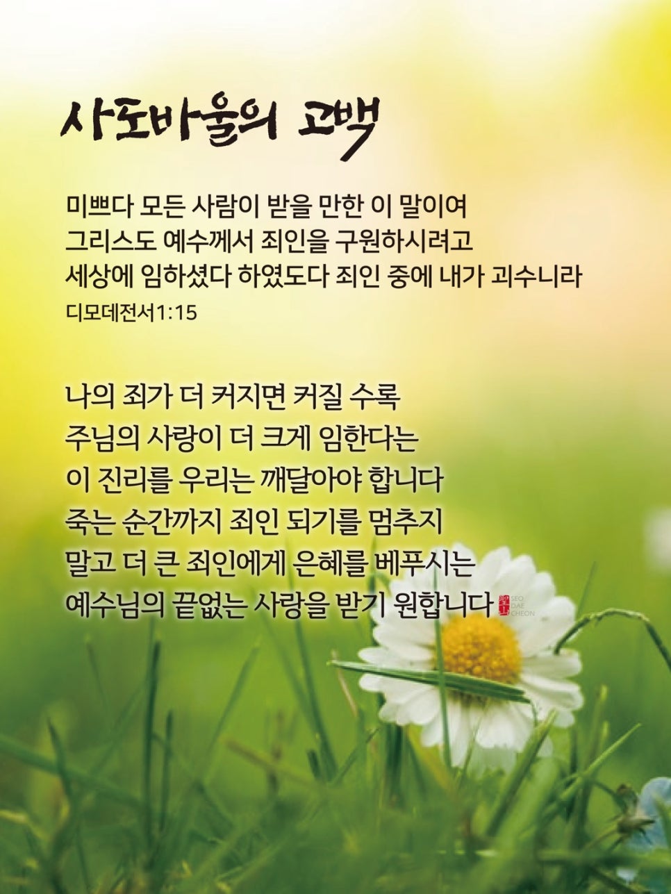 홀리씨즈교회 이미지