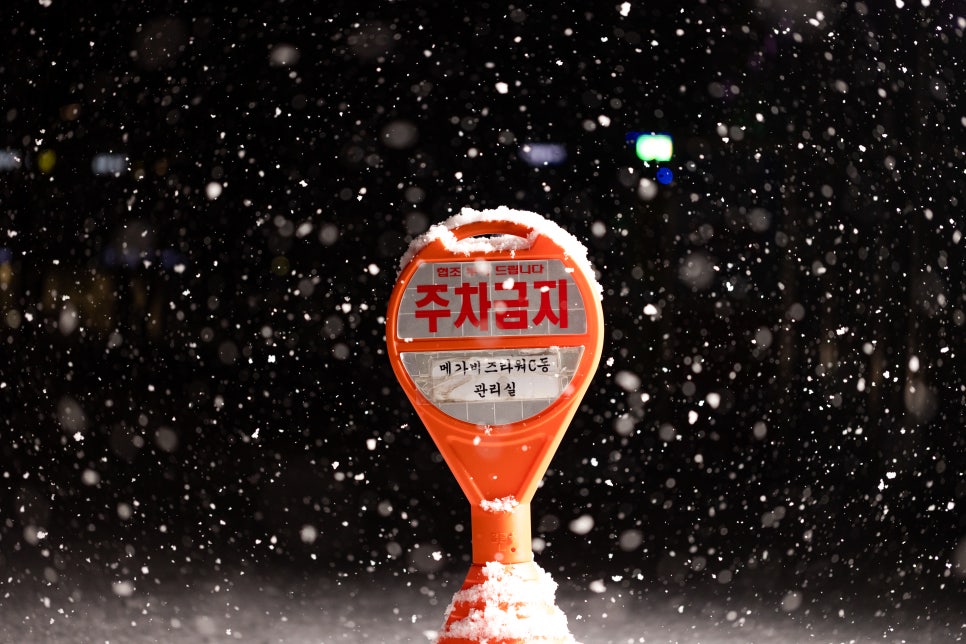 림부스사진관 이미지