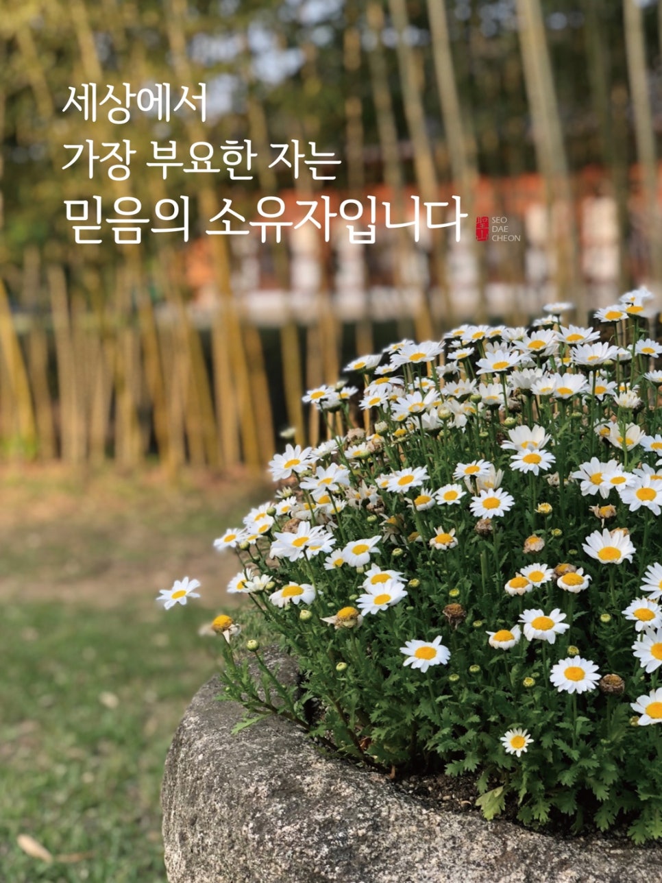 홀리씨즈교회 이미지
