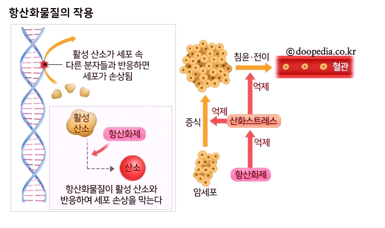매일식품 이미지