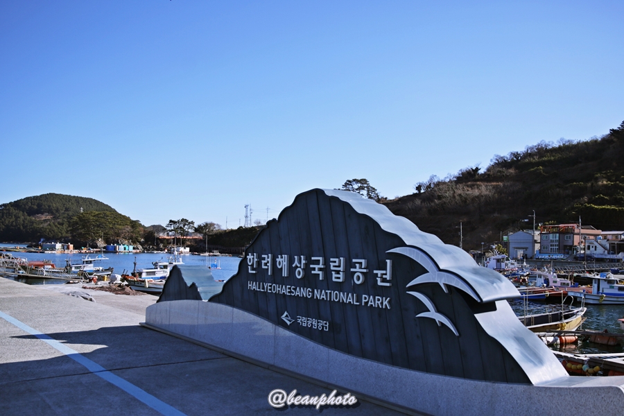 연대도달맞이 이미지