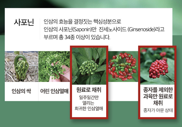 인삼열매(주) 이미지