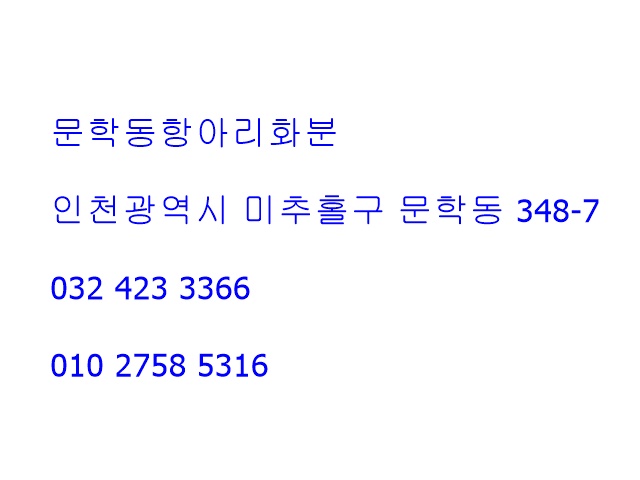 문학동항아리화분 이미지