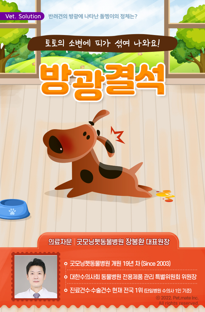 굿모닝토토 이미지