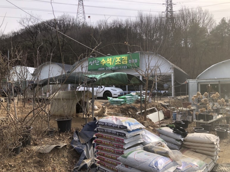 일월꽃식물원 이미지