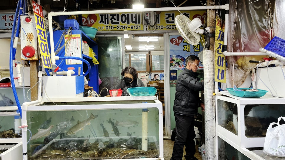 21호재진이네 이미지