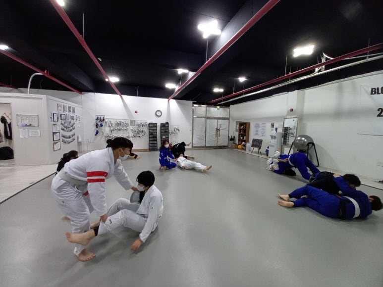 퍼팩트주짓수 이미지