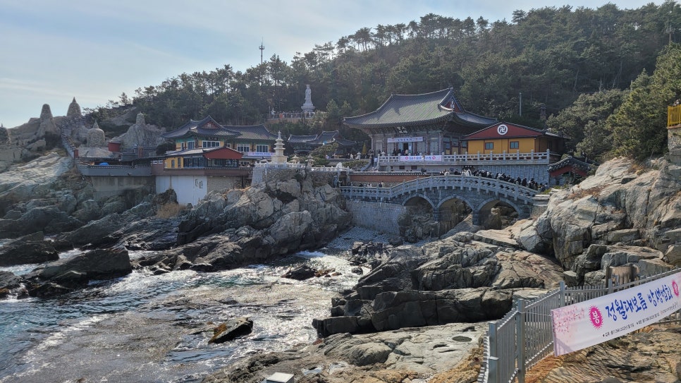 용궁해물짜장 이미지