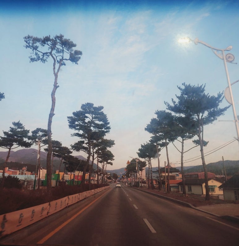 마호네일 이미지