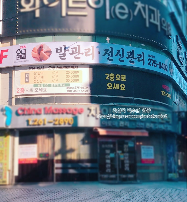 24시페파민트 이미지