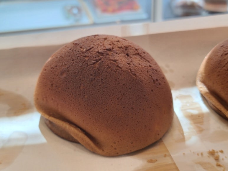초코지니 이미지