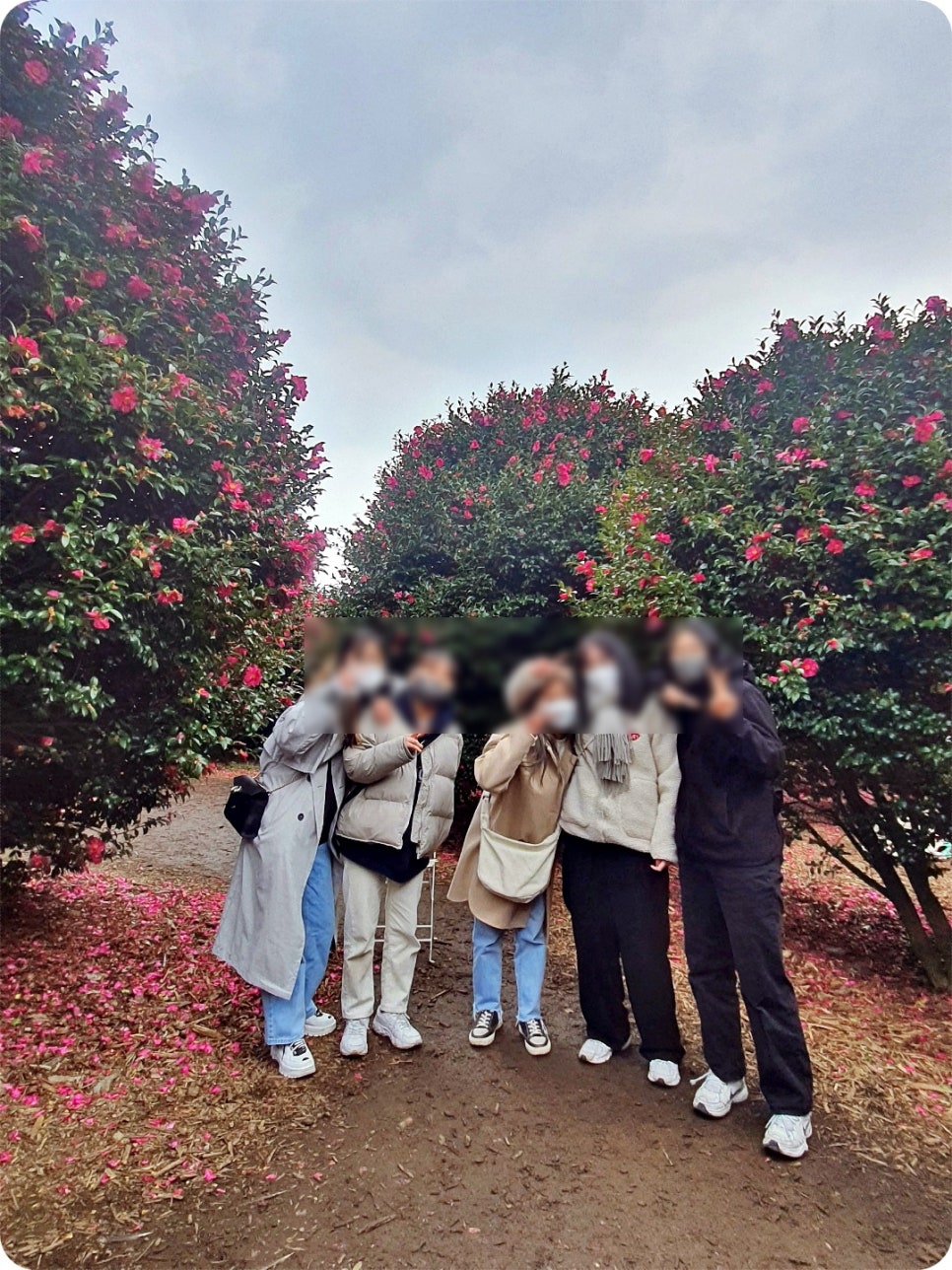 제주친구여행사 이미지