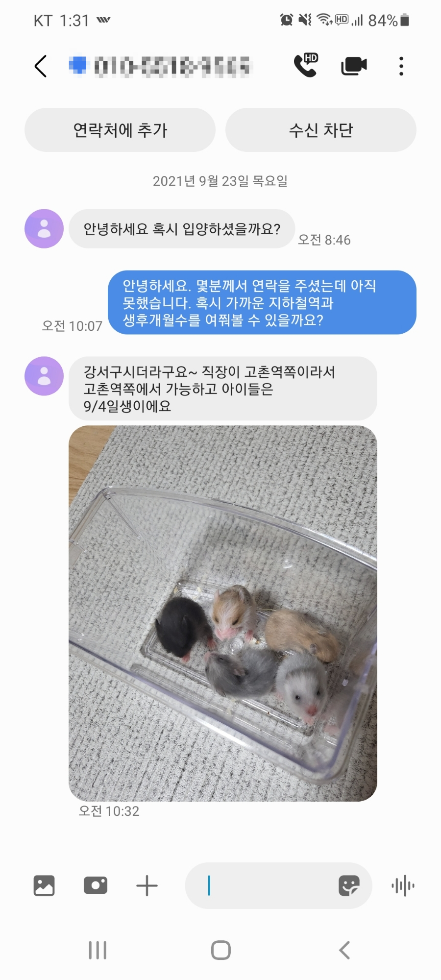 철장커뮤니티 이미지