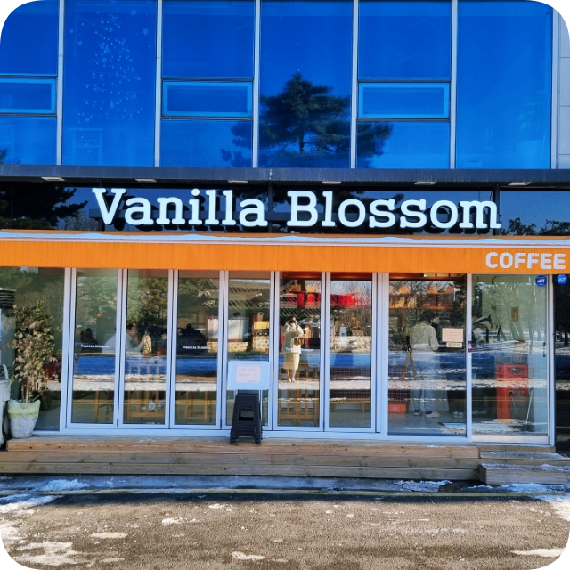 바닐라블라썸(Vanilla Blossom) 이미지