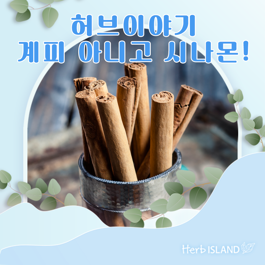 허브이야기 이미지