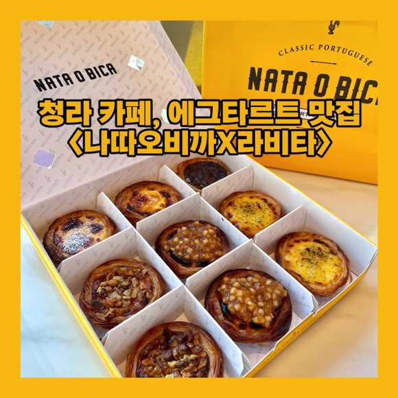 나따오비까X라비타 이미지