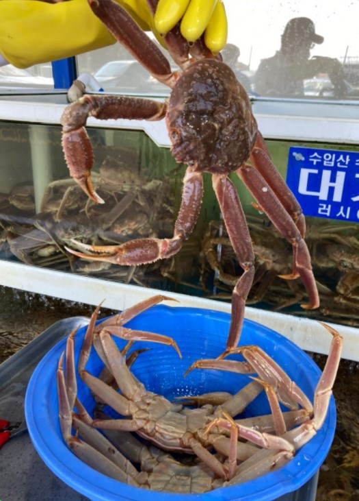 영덕광고 이미지