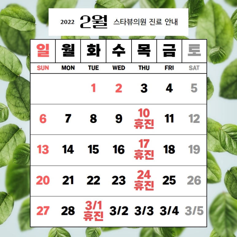 스타뷰의원 이미지