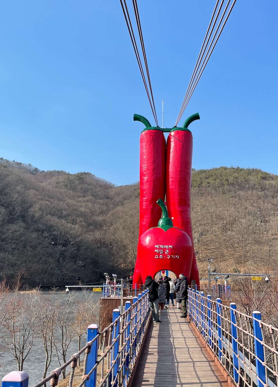 칠갑산 구기자 막국수 이미지