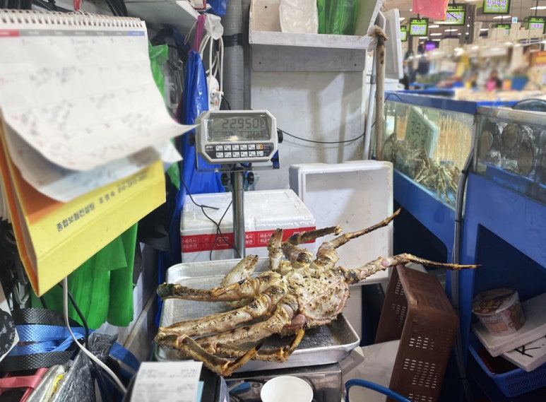 물결수산 이미지