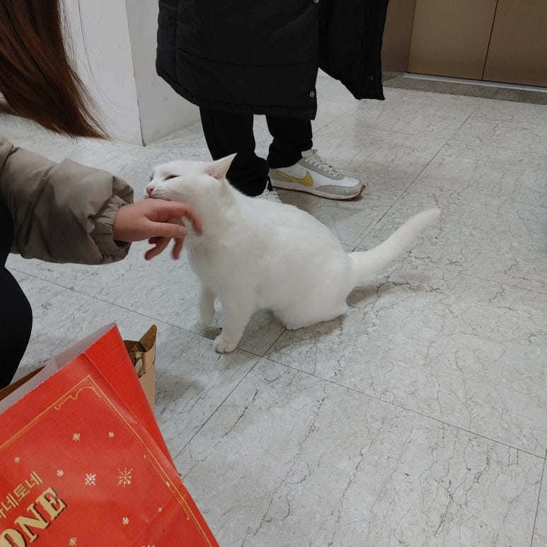 브레인게임존 이미지