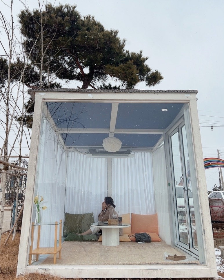 핀아드레 이미지