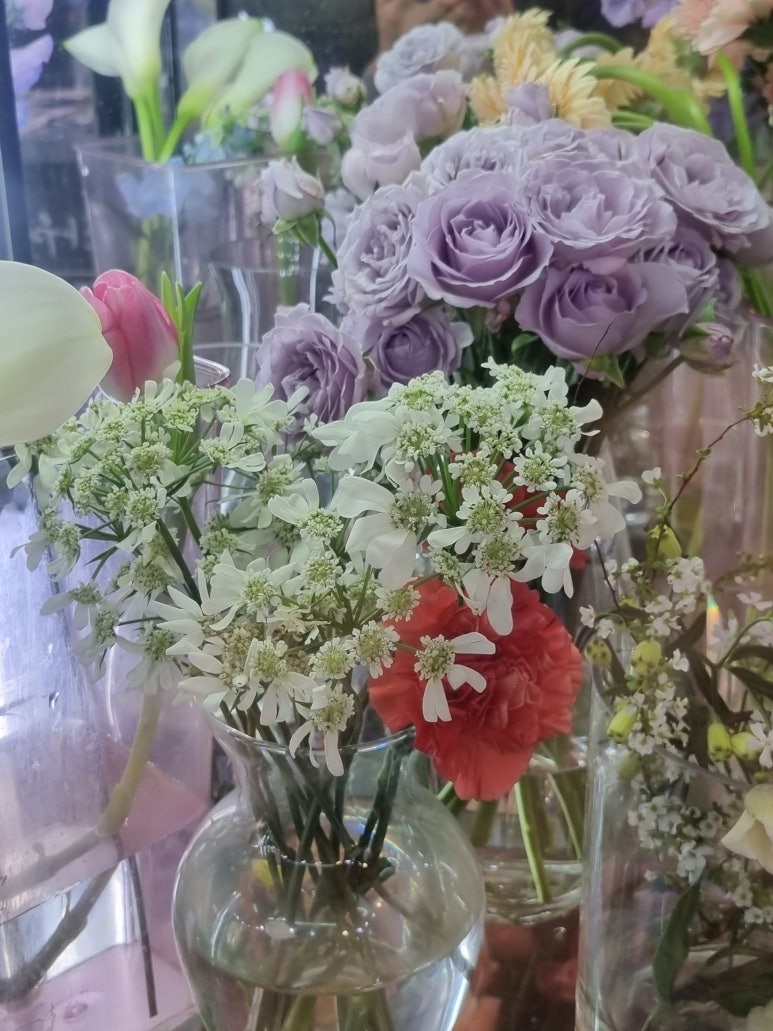 미미화원 이미지
