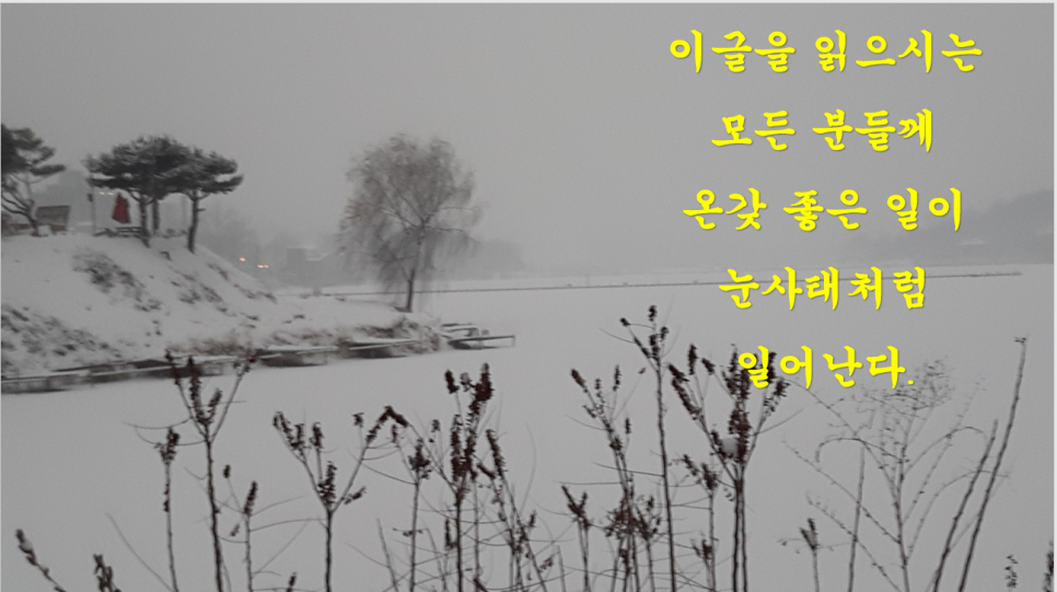 울동네꾸이집 이미지