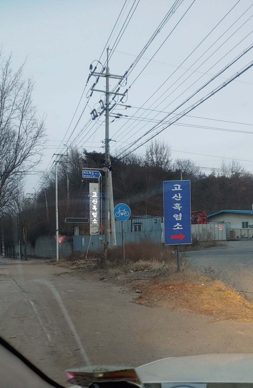 고산흑염소 이미지
