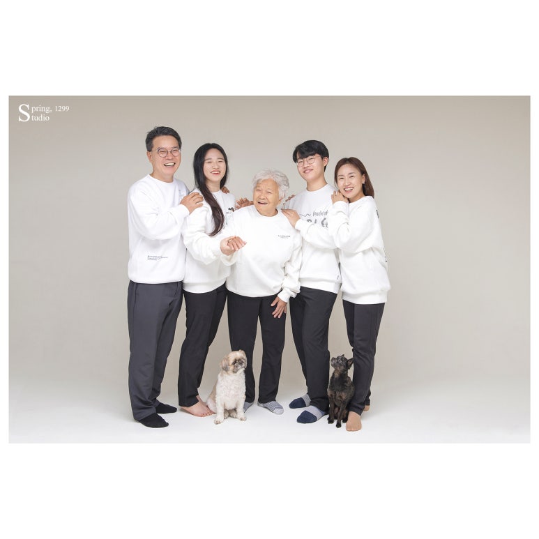 봄;1299스튜디오 이미지