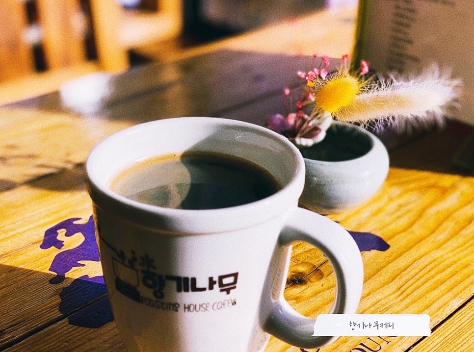 향기나무 이미지