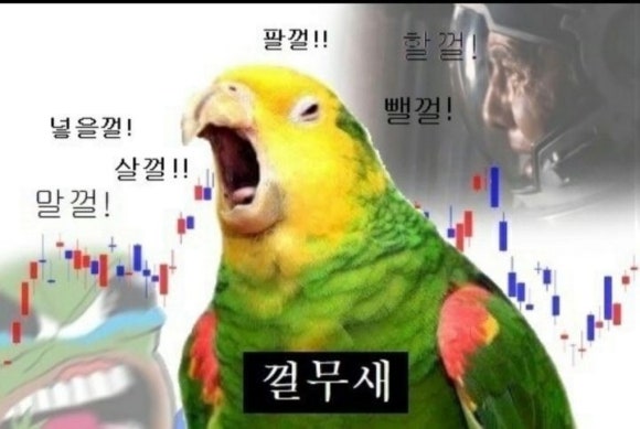 더샵피시방 이미지