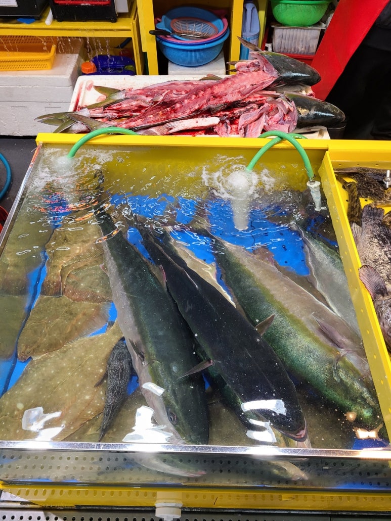 광인네 이미지