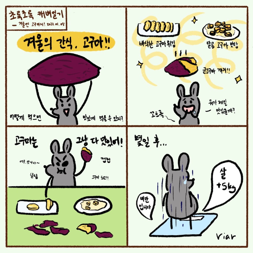 식물;마지 이미지