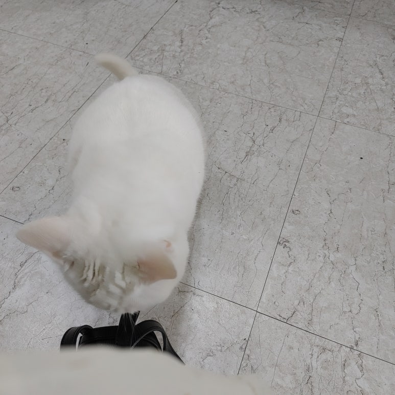브레인게임존 이미지