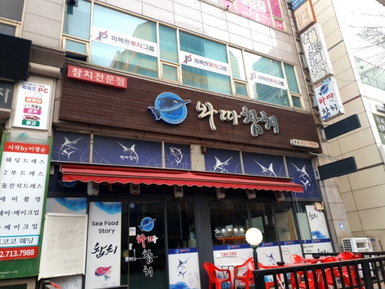 와따참치 이미지