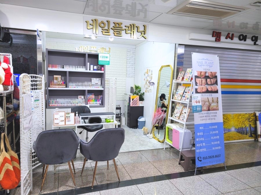 다이소주안시민 이미지
