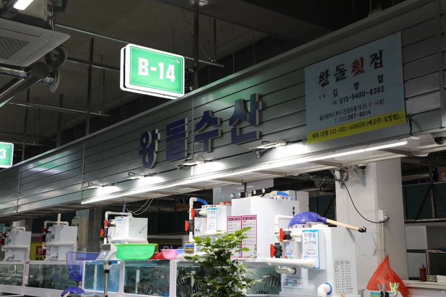 왕돌수산 이미지