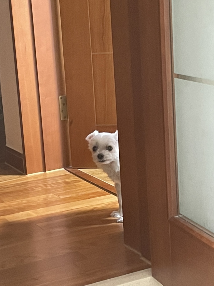 SS베이커리 이미지