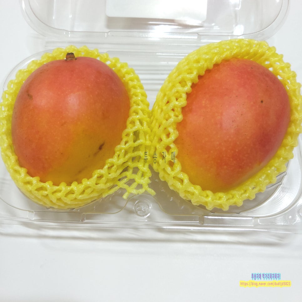 (주)진원무역 이미지