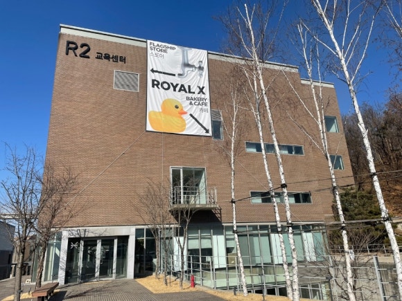 로얄엑스(ROYAL X) 이미지
