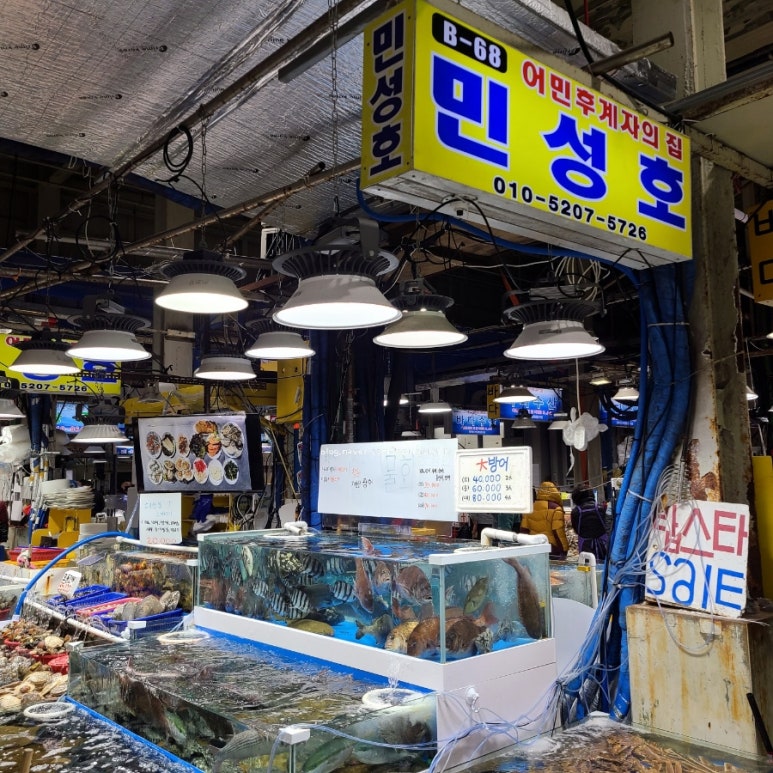장터11호 이미지