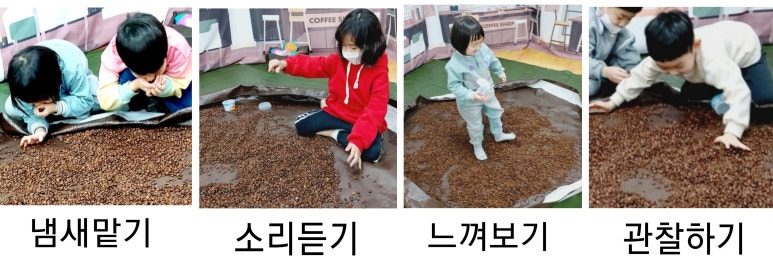 커피콩이야기 이미지