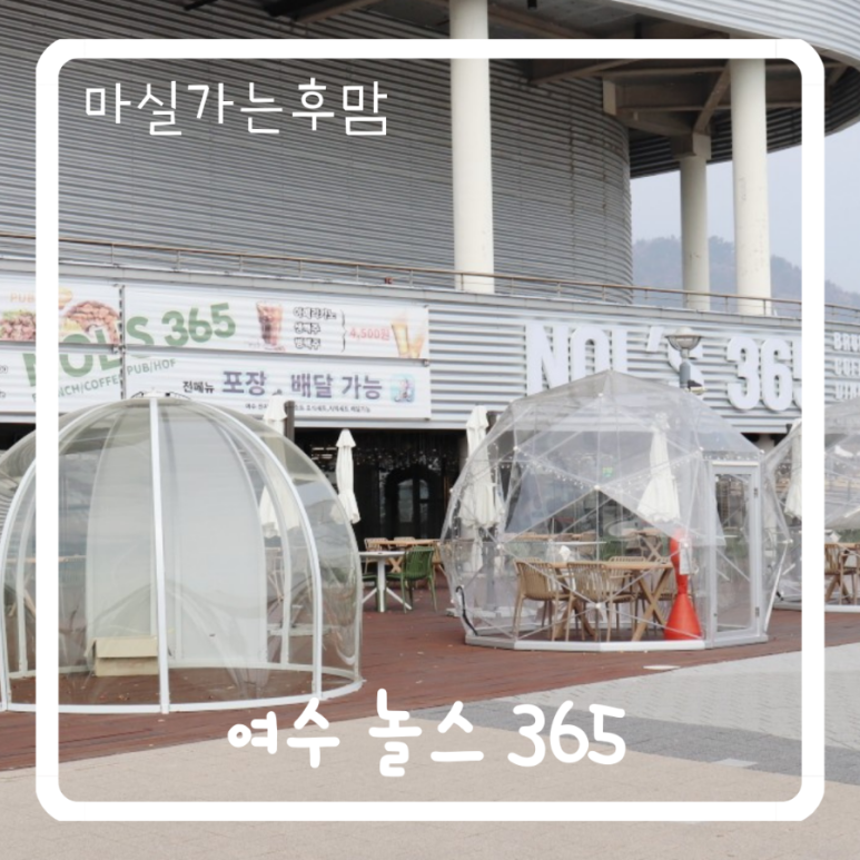 놀스365 이미지