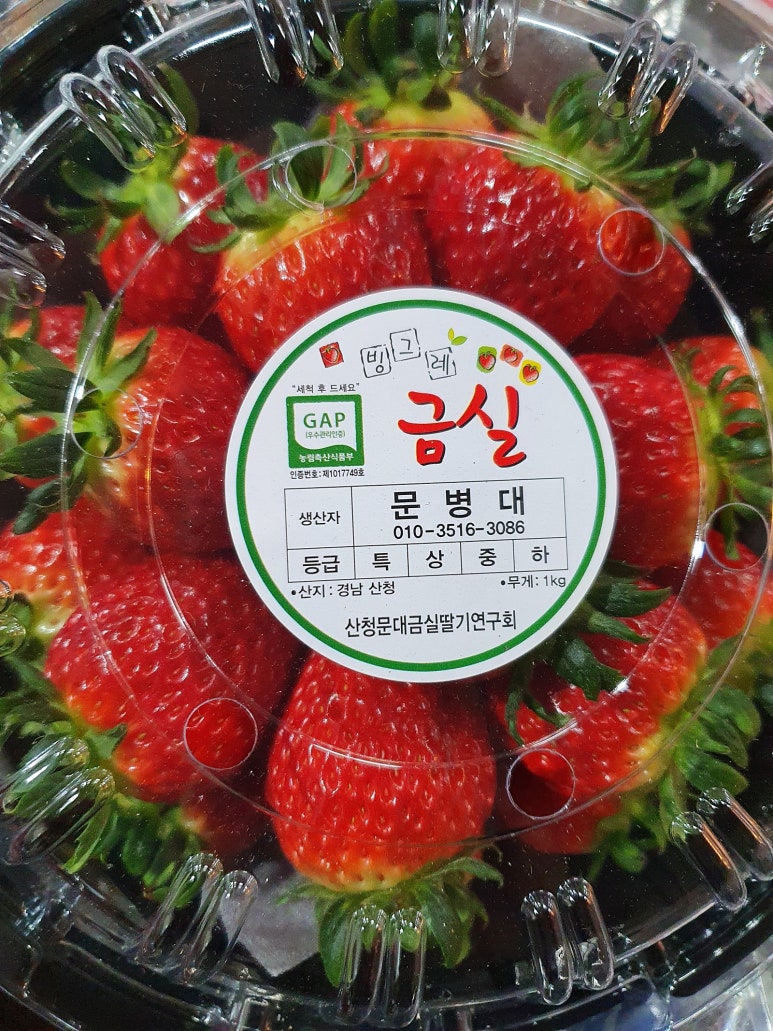 과일사랑 이미지
