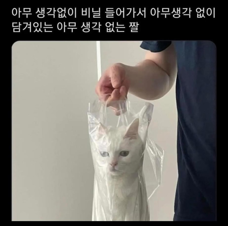 동해관광호텔 이미지